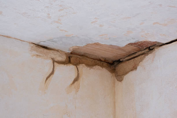 Best Water damage restoration near me  in Magee, MS